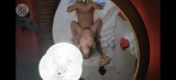 Ana48Norbi45 - Hetero/Biszex Pár szexpartner Tapolca